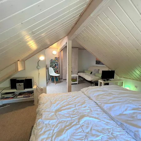 Vakantiehuis Strandpark H008