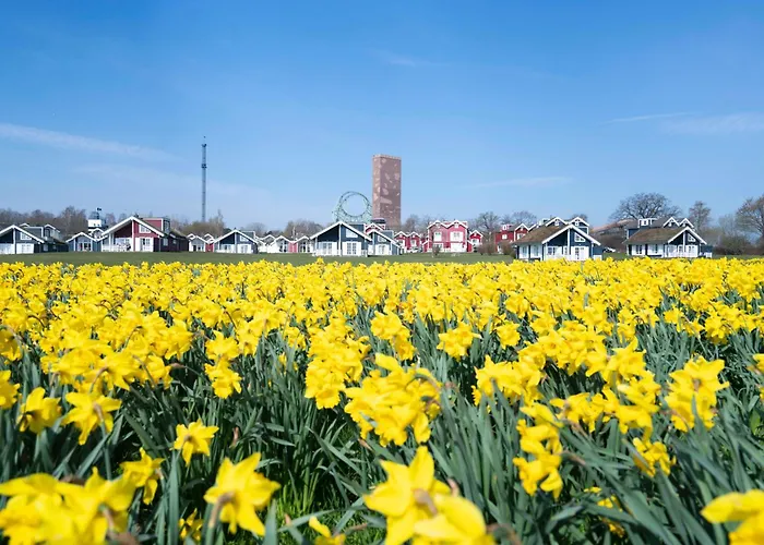 Strandpark H008 * Sierksdorf